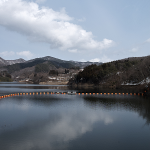 Toyama